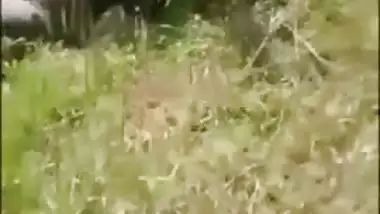 Desi XXX mms, nasty Mallu couple was caught fuck outdoor in bushes
